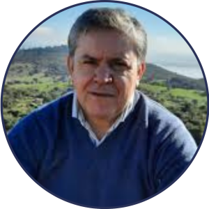 Mário Ferreira Monte